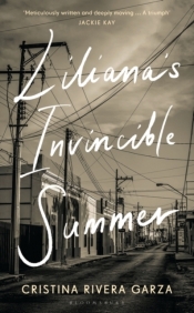 Liliana`s Invincible Summer: A Sister`s Search for Justice